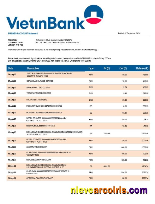 Vietin Bank firm account statement